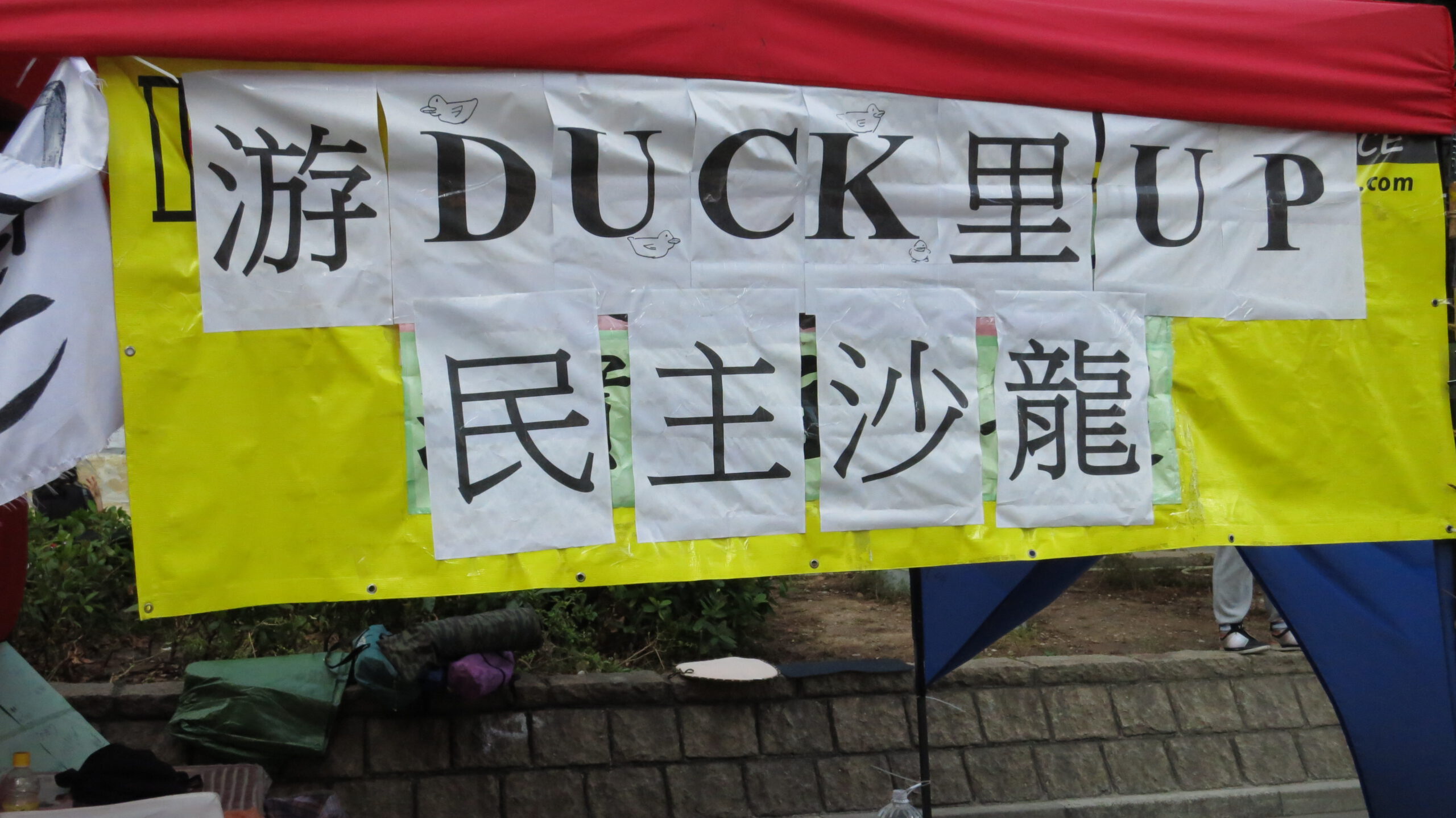 時事隨筆：否思佔中．游Duck你Up